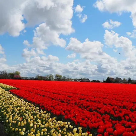 Polderlodge Hillegom