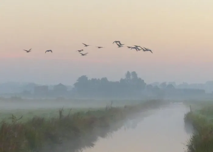 Bed & Breakfast Polderlodge Hillegom