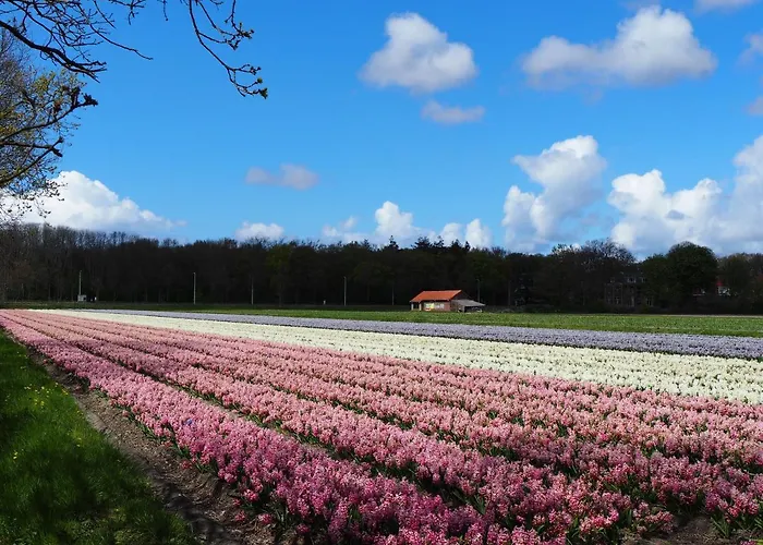 Bed & Breakfast Polderlodge Hillegom