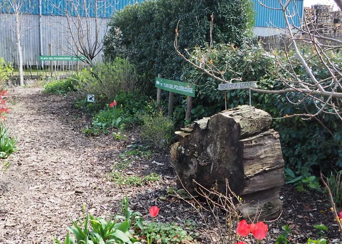 Polderlodge 3* Hillegom