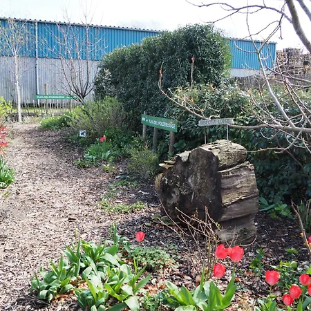 Polderlodge 3* Hillegom