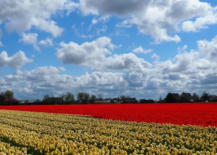 Polderlodge Bed & Breakfast