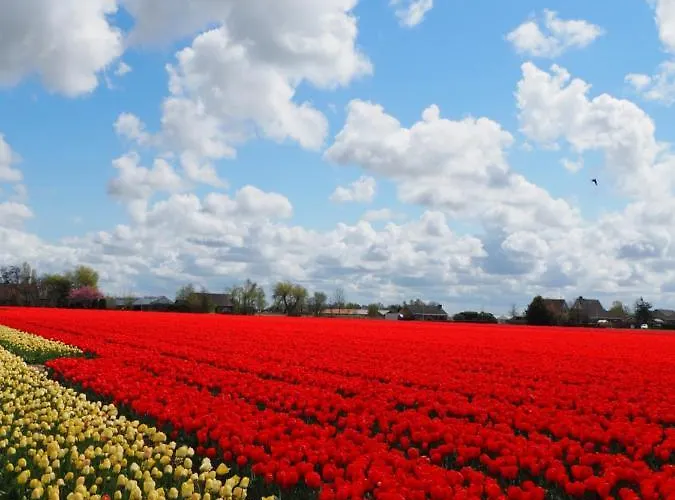 Polderlodge Hillegom