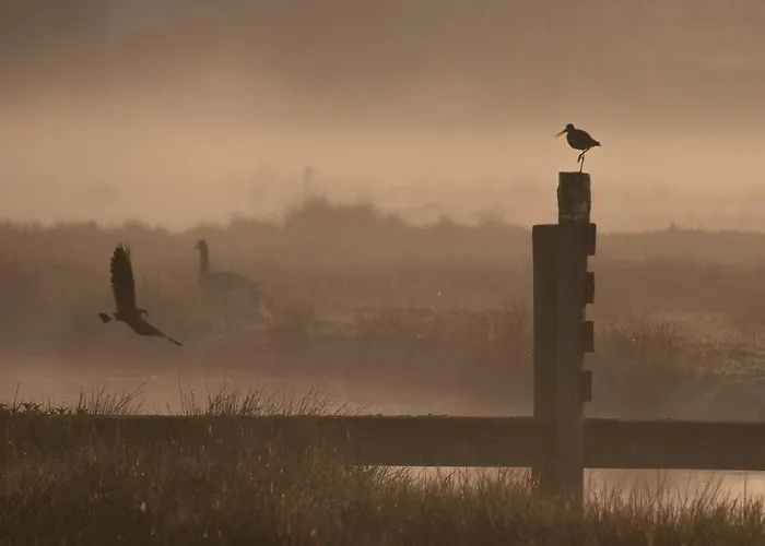 Bed & Breakfast Polderlodge